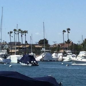 Meet your Posher, Terri